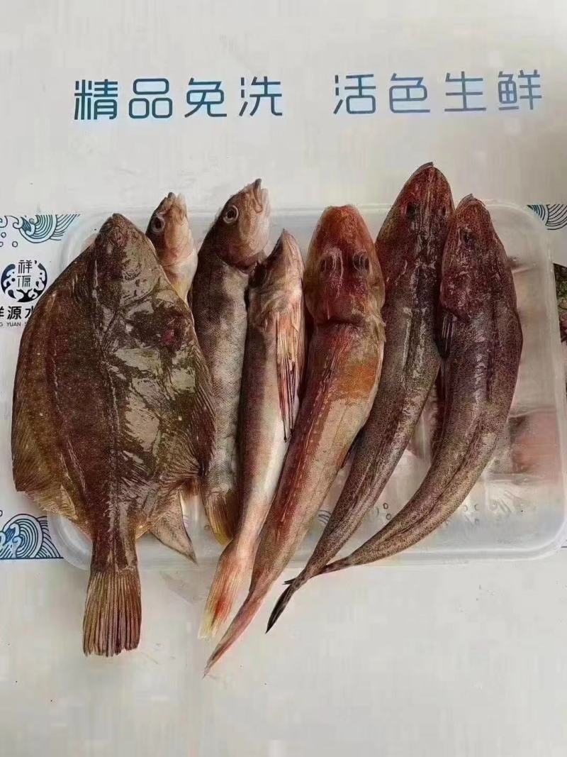 辽宁东港免洗海杂鱼，食材新鲜！