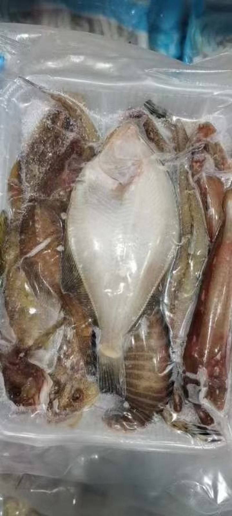 辽宁东港免洗海杂鱼，食材新鲜！