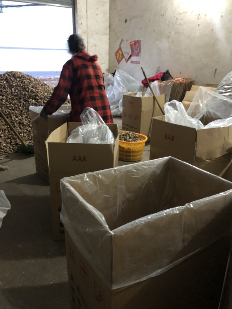 新货干香菇通货肉厚剪脚食品厂干货店通用干冬菇一手货源批发