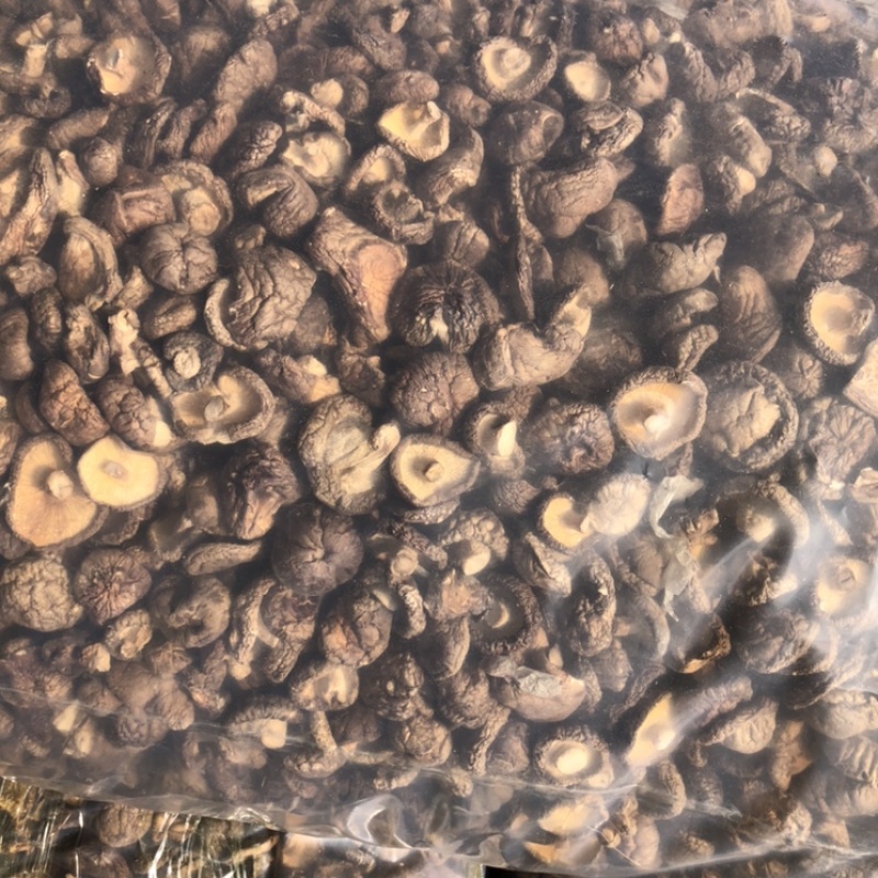 新货干香菇通货肉厚剪脚食品厂干货店通用干冬菇一手货源批发