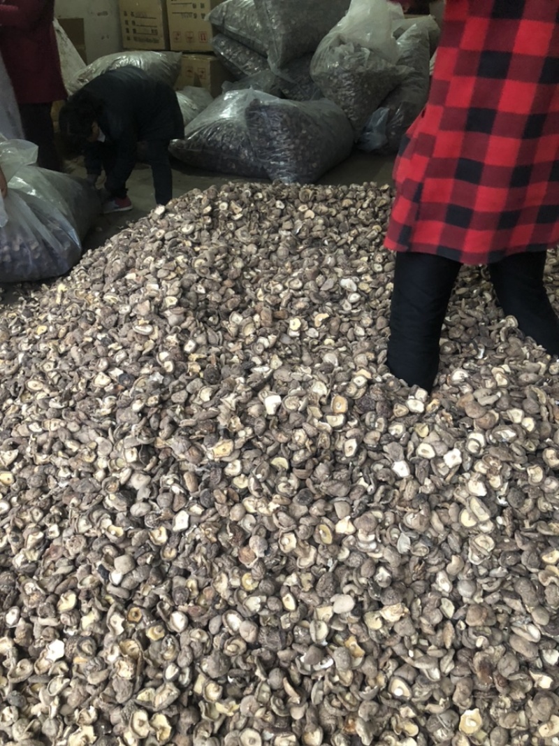 新货干香菇通货肉厚剪脚食品厂干货店通用干冬菇一手货源批发