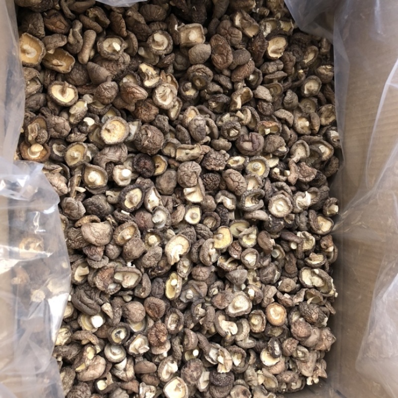 新货干香菇通货肉厚剪脚食品厂干货店通用干冬菇一手货源批发