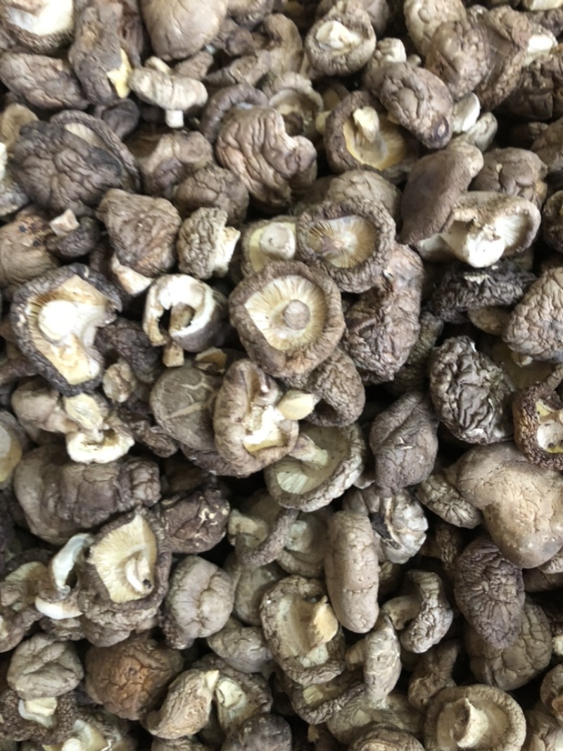 新货干香菇通货肉厚剪脚食品厂干货店通用干冬菇一手货源批发