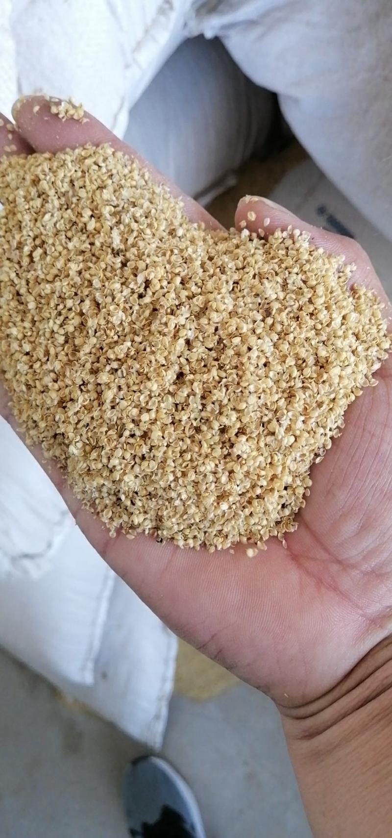 小米壳小米糠填充养殖欢迎选购本公司常年出售