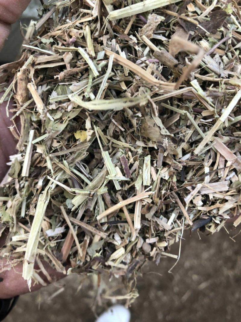 花生秧压块花生秧牛羊养殖本公司常年出售