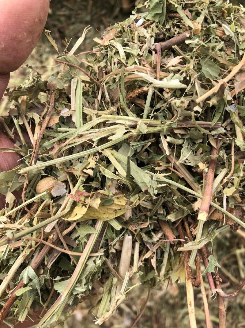 花生秧压块花生秧牛羊养殖本公司常年出售
