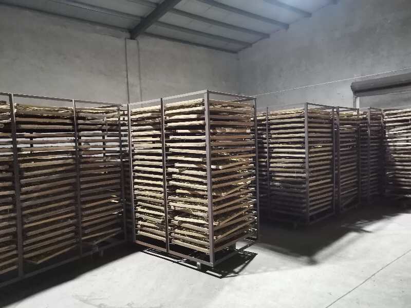 野菊花新货加工出来的颜色漂亮，质量佳湖北天门产地