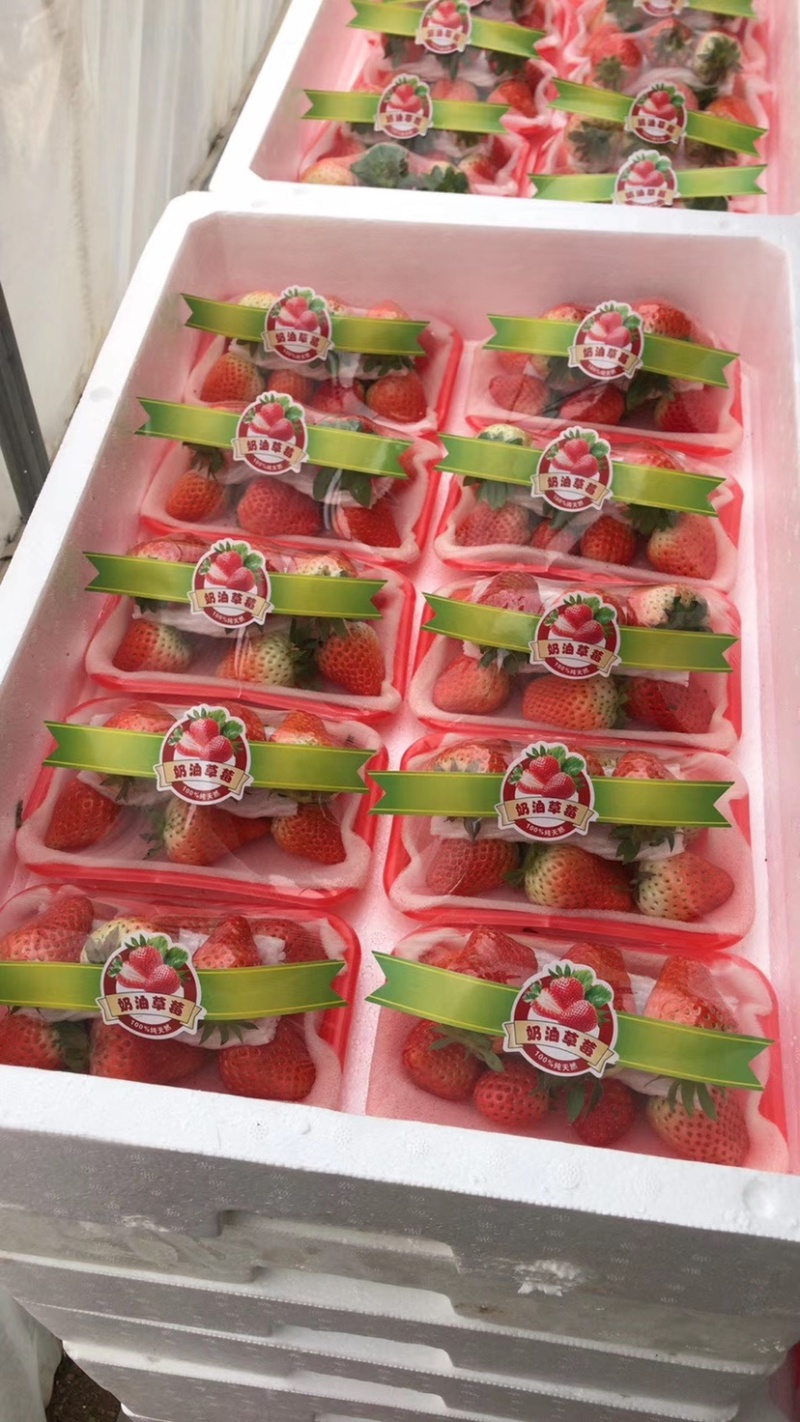 草莓上市。接电商社区团购，各种品种都有。各种精美包装