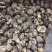 【有新货】花菇干货肉厚冬菇剪脚冬季花菇肉质肥美