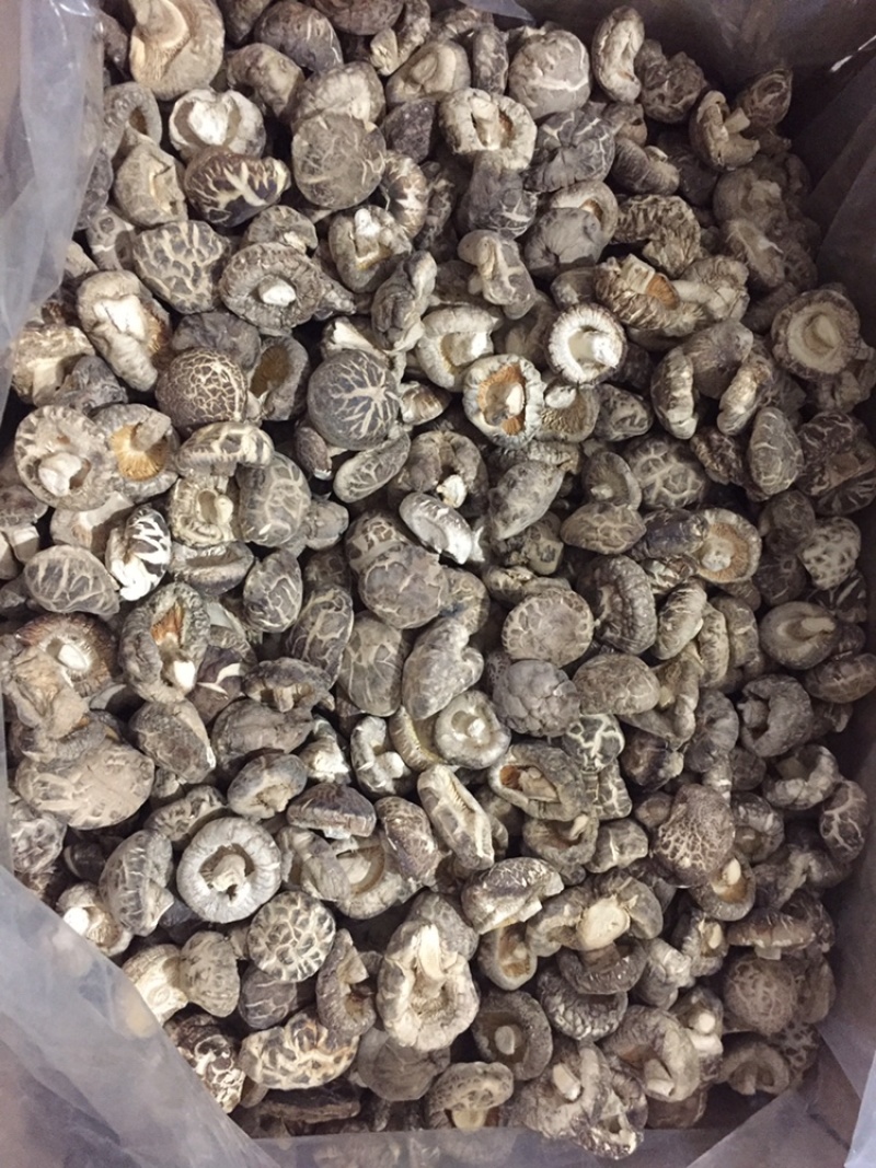 【有新货】花菇干货肉厚冬菇剪脚冬季花菇肉质肥美