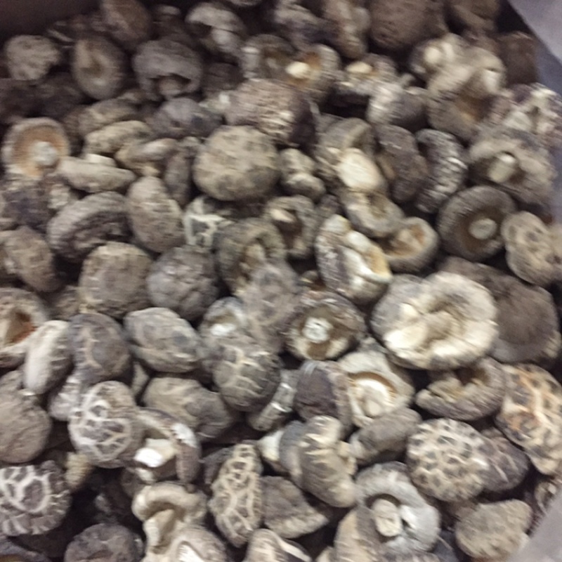 【有新货】花菇干货肉厚冬菇剪脚冬季花菇肉质肥美