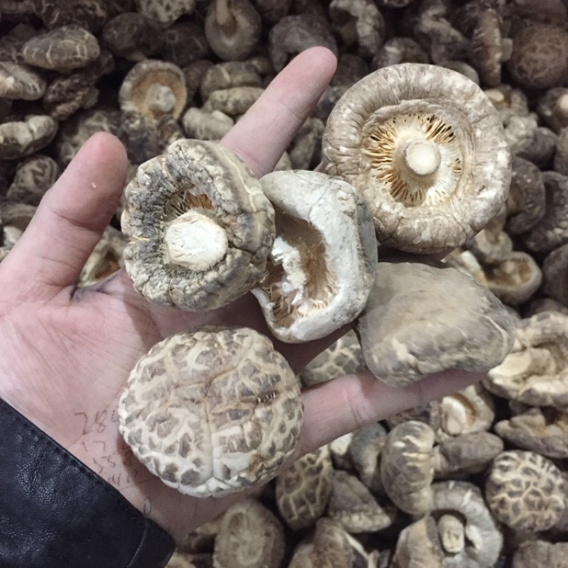 【有新货】花菇干货肉厚冬菇剪脚冬季花菇肉质肥美