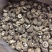 【有新货】花菇干货肉厚冬菇剪脚冬季花菇肉质肥美