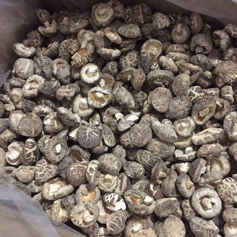 【有新货】花菇干货肉厚冬菇剪脚冬季花菇肉质肥美