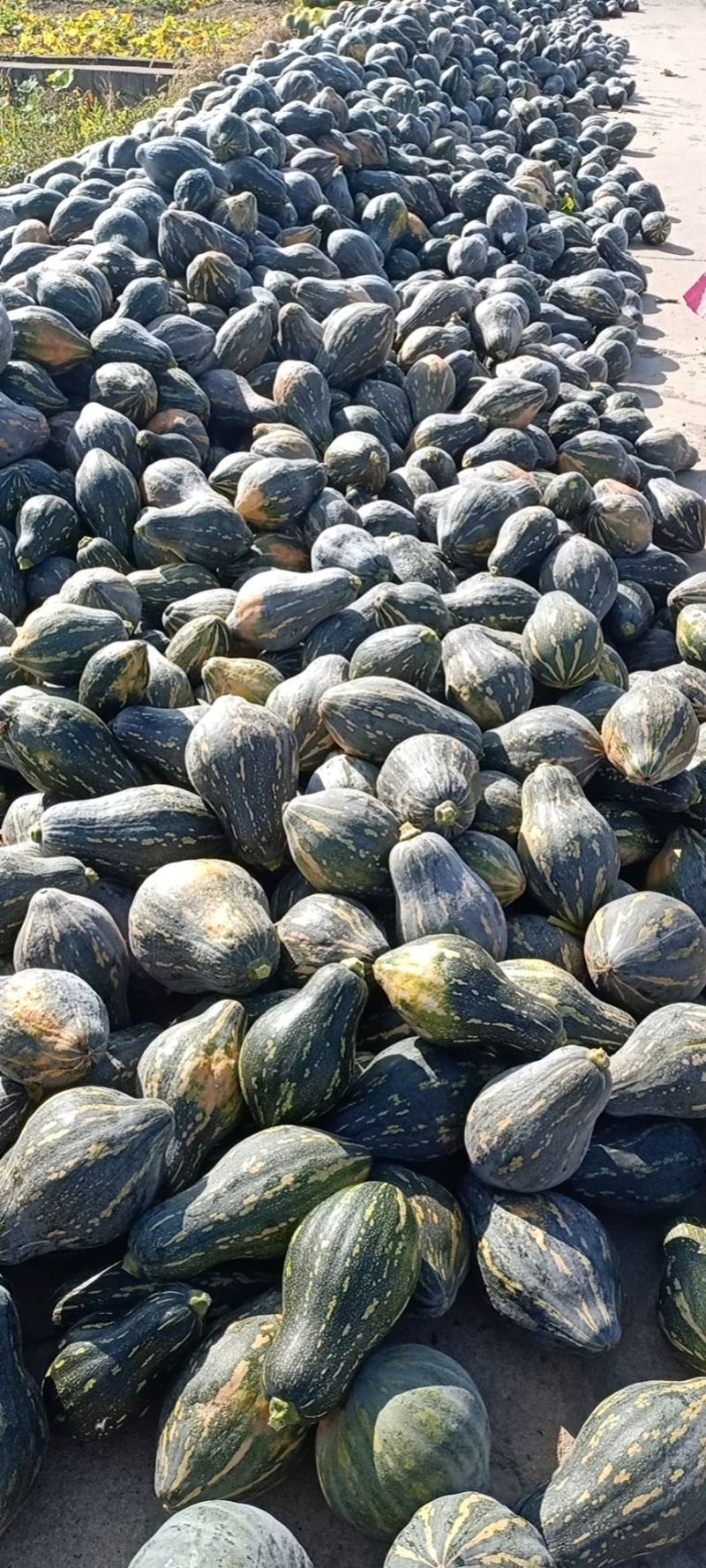 【推荐】精品广西香芋南瓜浓香型南瓜对接全国商超团购