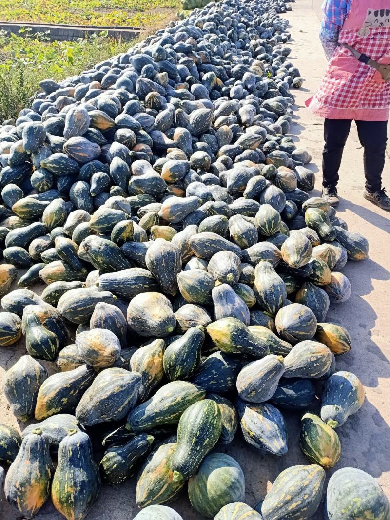 【推荐】精品广西香芋南瓜浓香型南瓜对接全国商超团购