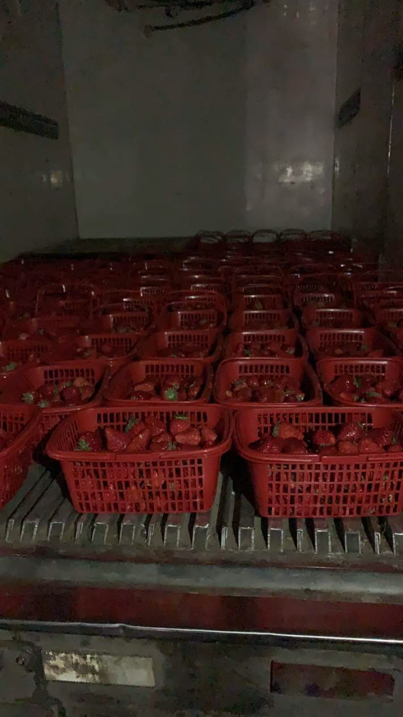 奶油草莓红颜，法兰地……