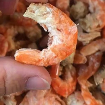 【支持一件代发】精选手剥虾仁干，即食对虾干，可以当零食吃