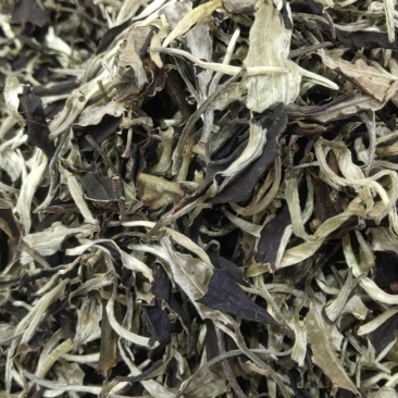2021年,景谷白茶,一芽二叶春茶散料整件批发