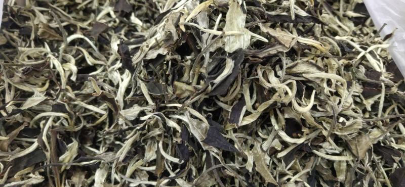 2021年，景谷白茶，一芽二叶春茶散料整件批发