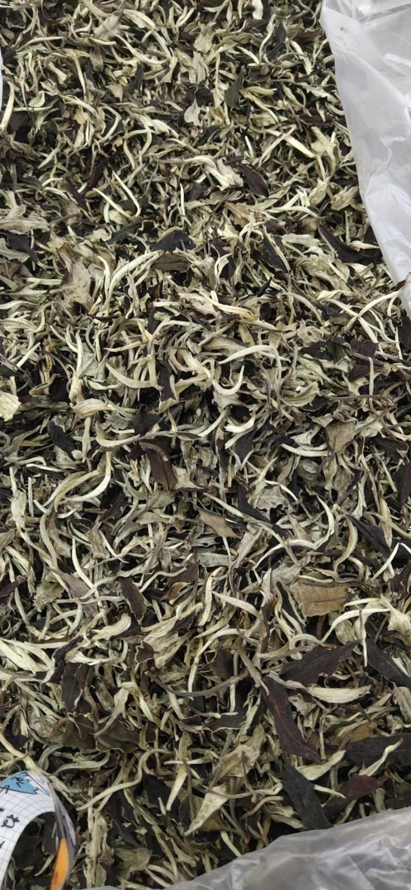 2021年，景谷白茶，一芽二叶春茶散料整件批发