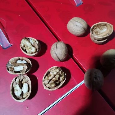 （包邮）新疆阿克苏直发185薄皮核桃，乌鲁木齐发货