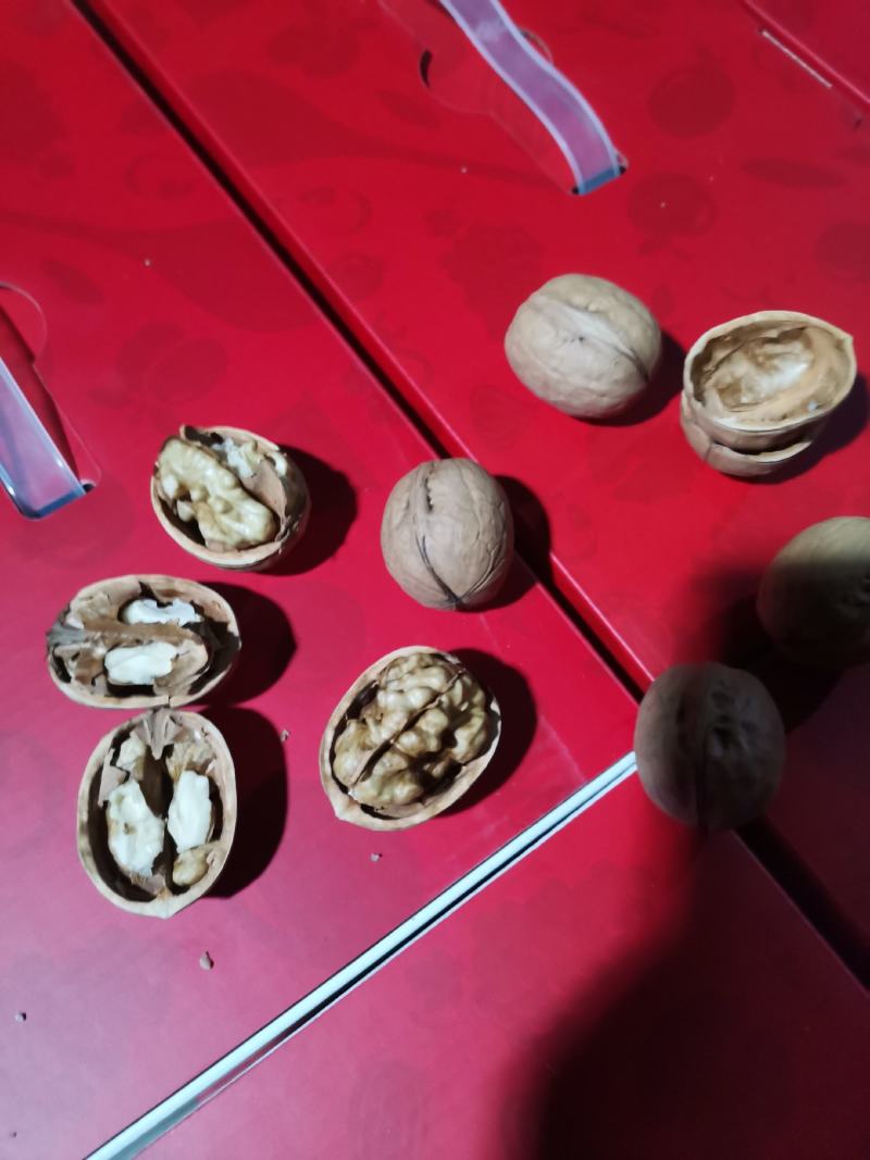 （包邮）新疆阿克苏直发185薄皮核桃，乌鲁木齐发货