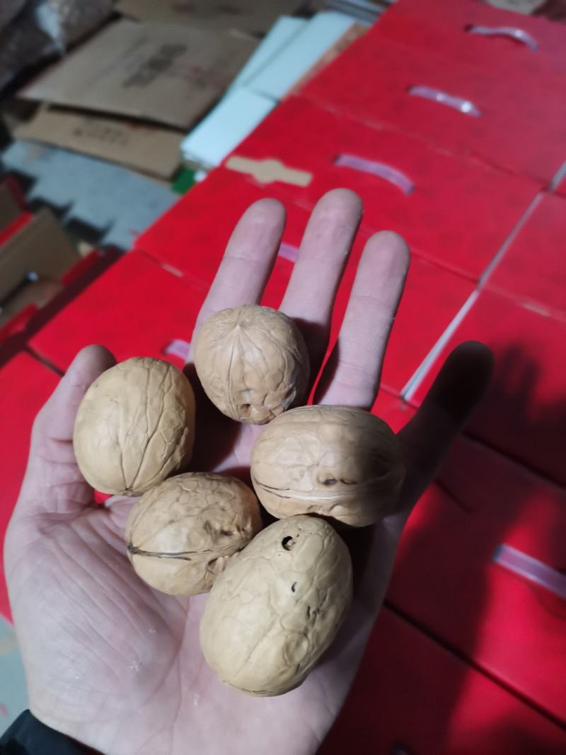 （包邮）新疆阿克苏直发185薄皮核桃，乌鲁木齐发货