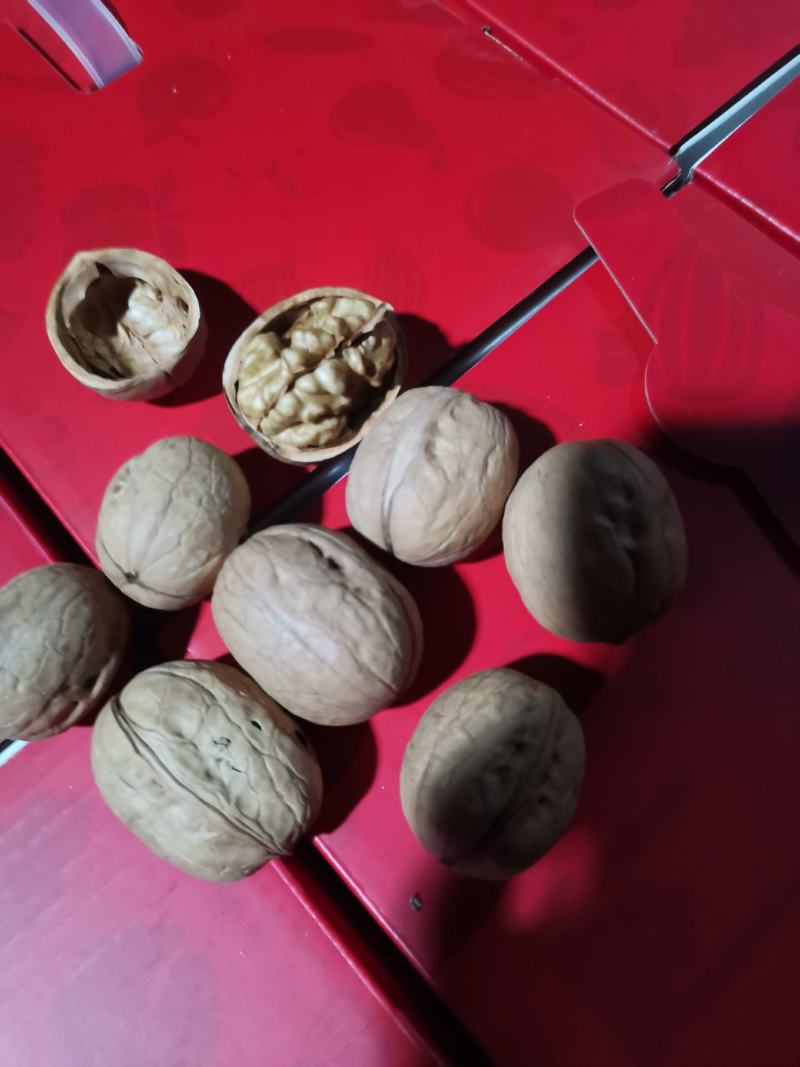 （包邮）新疆阿克苏直发185薄皮核桃，乌鲁木齐发货