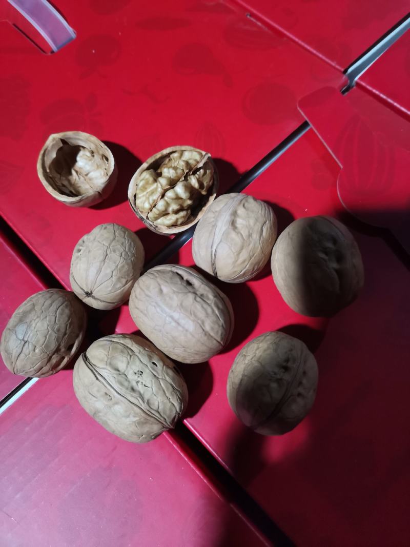 （包邮）新疆阿克苏直发185薄皮核桃，乌鲁木齐发货