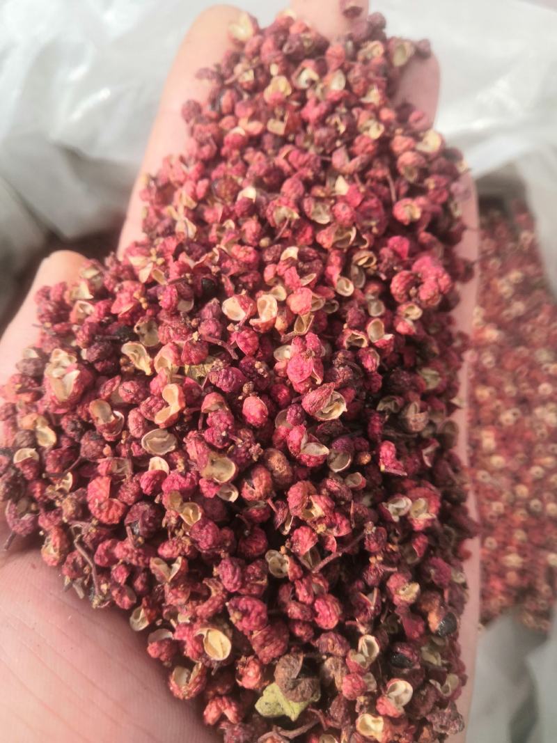 【有好货】陕西大红袍花椒，颗粒净货，色选。