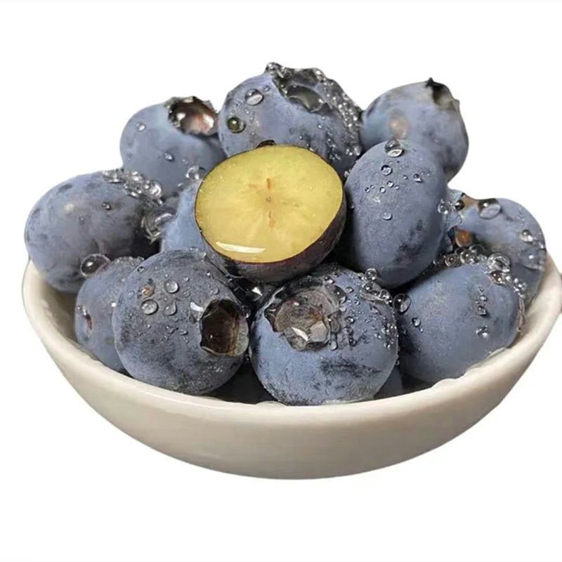 新鲜蓝莓现摘现发孕妇宝宝辅食应季水果批发