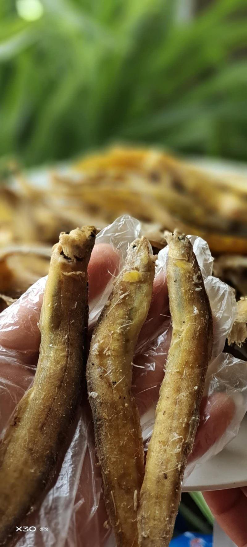 黄金凤尾鱼！宽条细条油炸做麻辣鱼食材可视频看货产地直发