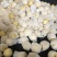 河北辛集皇冠梨大量现货有水晶鸭梨雪花梨各种苹果