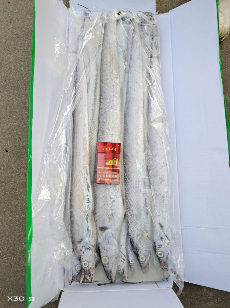 特价便宜刀鱼刀鱼刀鱼