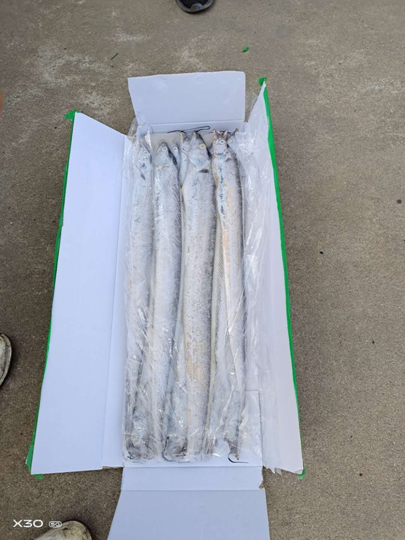 特价便宜刀鱼刀鱼刀鱼