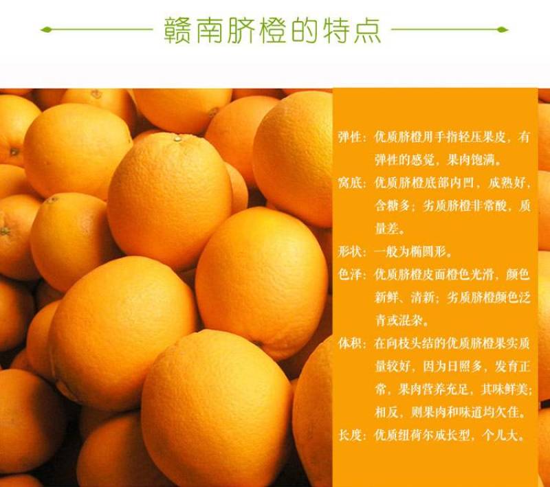 赣南脐橙包邮脐橙包邮一件代发