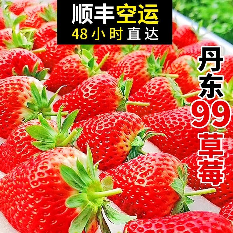 辽宁丹东东港九九红颜草莓基地一件代发招微商电商超市等
