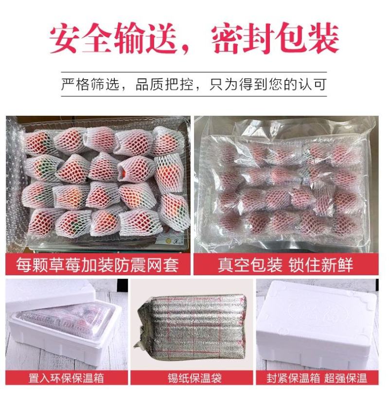 辽宁丹东东港九九红颜草莓基地一件代发招微商电商超市等