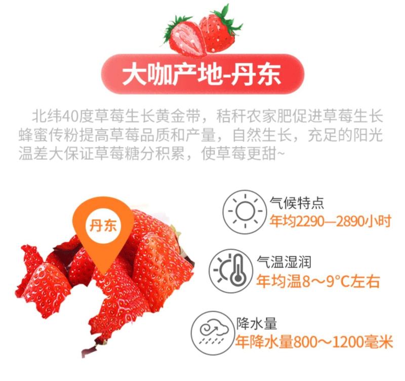 辽宁丹东东港九九红颜草莓基地一件代发招微商电商超市等