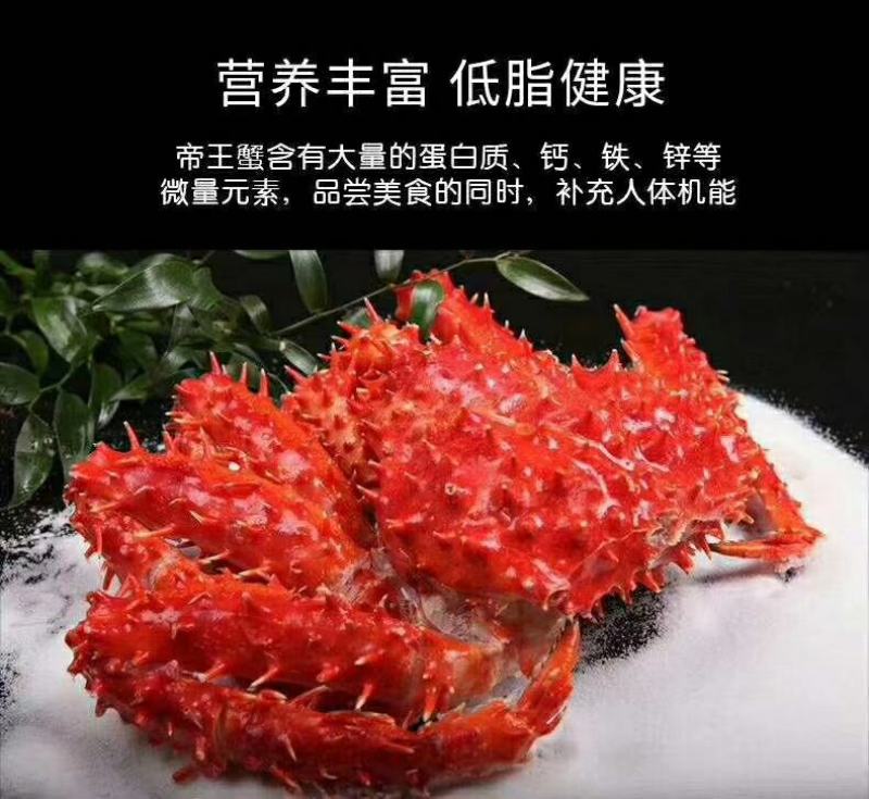 俄罗斯进口帝王蟹大量到货