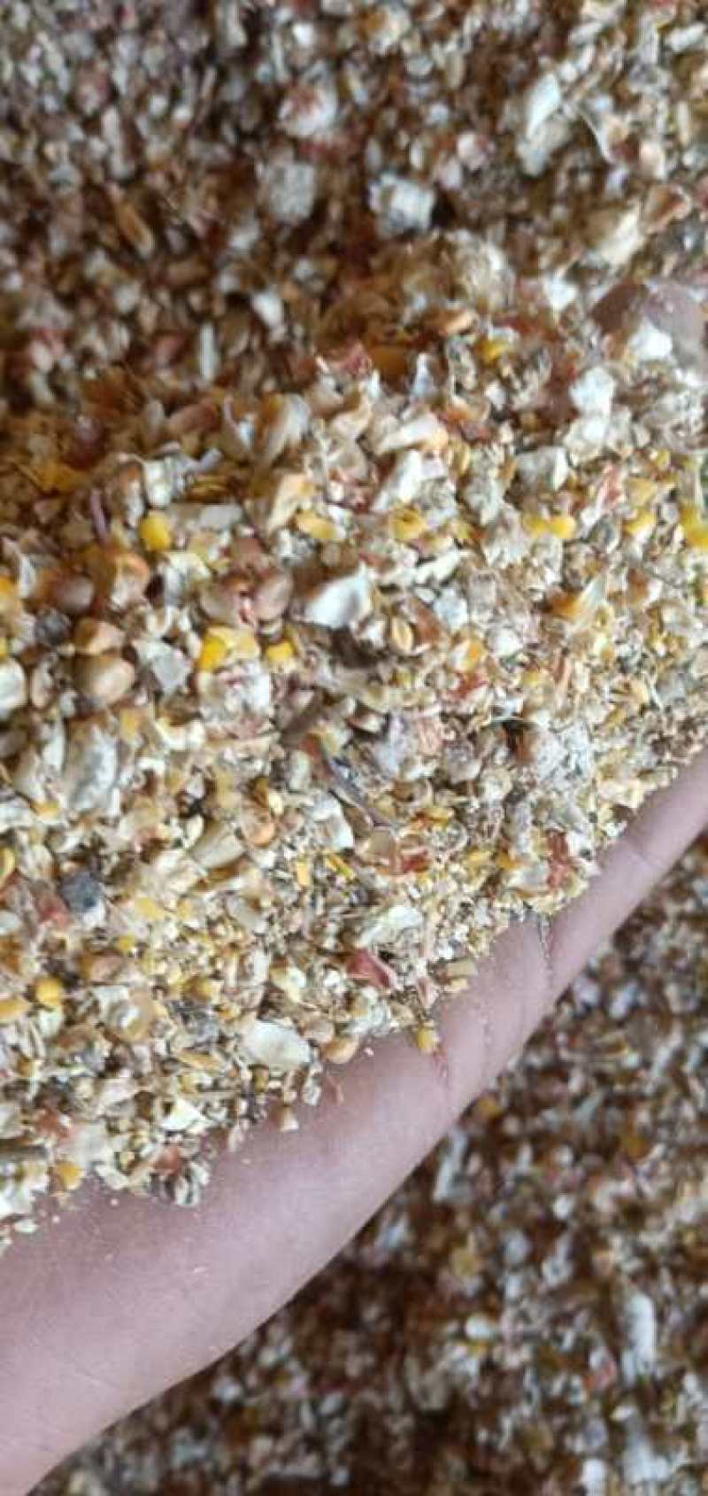 玉米下脚料碎玉米碎高粱等本公司常年出售