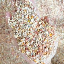 碎玉米碎小麦各种饲料原料欢迎选购