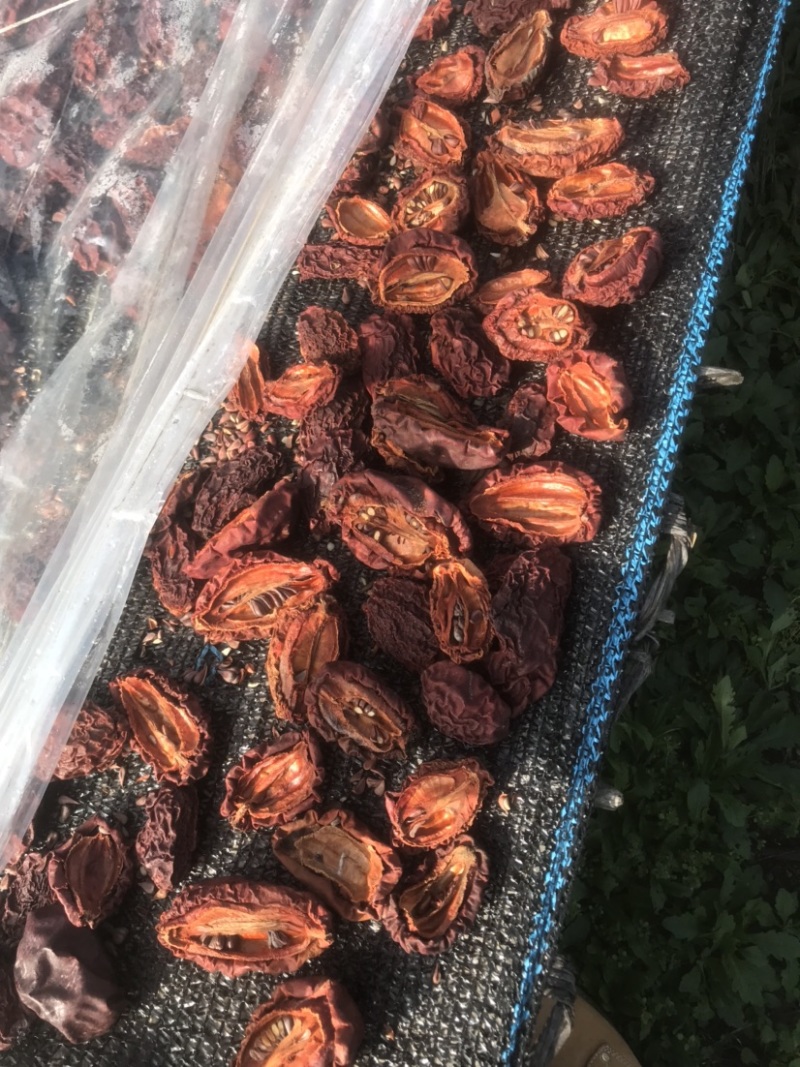 【精选药材木瓜】云南红花药材木瓜酸木瓜干酸木瓜半