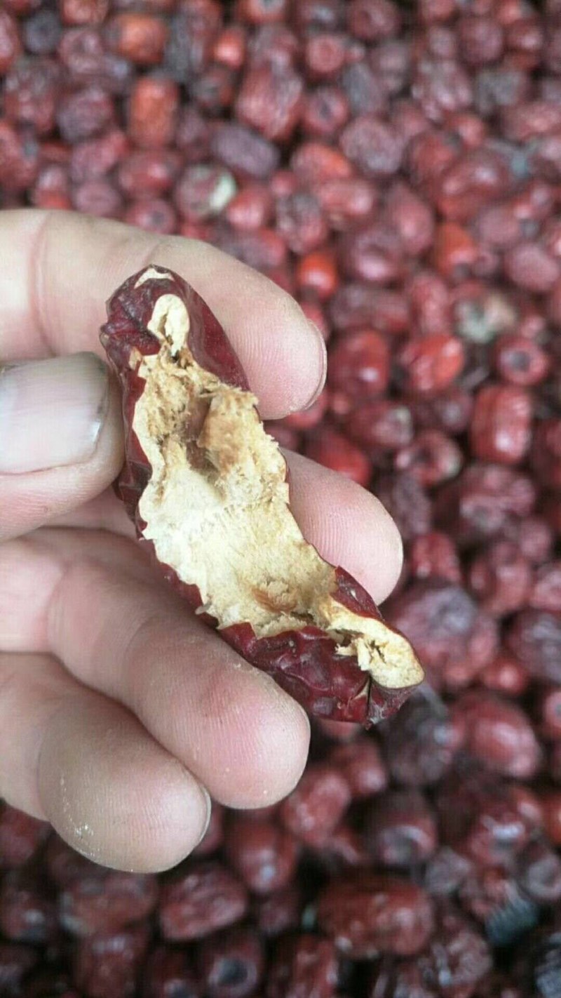 烘干枣粉饲料级枣粉质量保证本公司常年出售