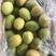 酸木瓜，云南红花酸木瓜，大量现货果农直发支持视频看货