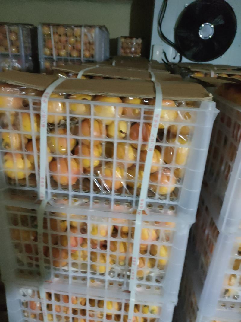海城市水果大量上市欢迎各界老板前来选购选购