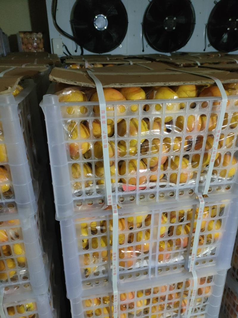 海城市水果大量上市欢迎各界老板前来选购选购