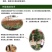 夏鹃夏娟杜鹃小苗杜鹃花盆栽园林绿化树苗庭院绿化苗木