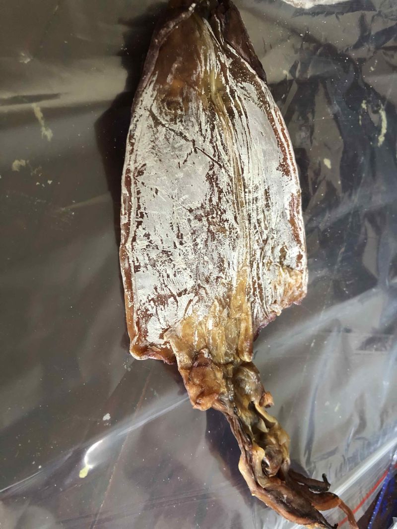 阿根廷鱿鱼干A2一斤5-10只左右联系我仔细了解